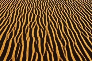 Images Dated 25th February 2011: Sand patterns on a dune, In Tehak region, Acacus Mountains or Tadrart Acacus range