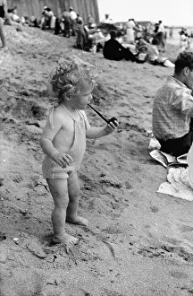 Holidays Prints: Sand Piper