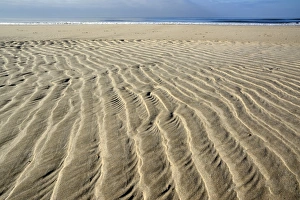 Images Dated 26th February 2013: Sand ripple patterns on the beach, near Hvide Sande, Jutland, Denmark