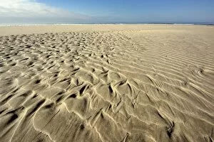 Jutland Gallery: Sand ripple patterns on the beach, near Hvide Sande, Jutland, Denmark