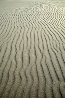 Sand ripples, Kniepsand beach, Amrum Island, Nordfriesland, North Frisia, Schleswig-Holstein, Germany, Europe