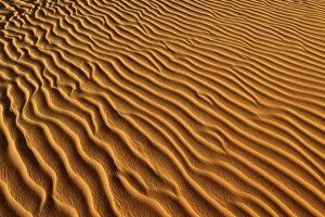 Images Dated 21st November 2012: Sand ripples, sand dunes of Erg Mehejibad, Erg Mehejibad, Immidir or Mouydir, Sahara