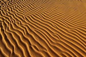 Images Dated 21st November 2012: Sand ripples, sand dunes of Erg Mehejibad, Erg Mehejibad, Immidir or Mouydir, Sahara