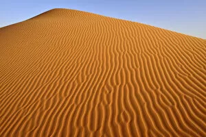 Images Dated 6th March 2014: Sand ripples, texture on a sand dune, Tassili nAjjer, Sahara desert, Algeria