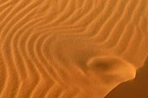 Images Dated 5th March 2014: Sand ripples, texture on a sand dune, Tassili nAjjer, Sahara desert, Algeria