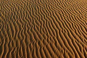 Images Dated 15th February 2014: Sand ripples, texture on a sand dune, Tassili nAjjer, Sahara desert, Algeria