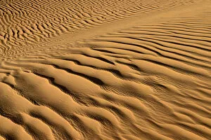 Images Dated 13th February 2014: Sand ripples, texture on a sand dune, Tassili nAjjer, Sahara desert, Algeria