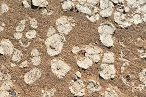 Images Dated 2nd September 2012: Sand, Sossusvlei, Namib-Naukluft National Park, Namibia