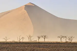 Naukluft Prints: Sand storm in the Namib Desert near Sossusvlei, Namib Naukluft Park, Namibia, Africa