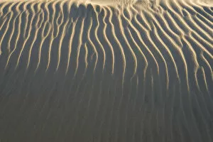Images Dated 28th August 2014: Sand structure, wind ripples, beach, Denmark