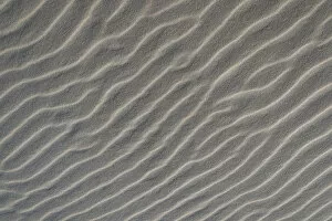 Images Dated 28th August 2014: Sand structure, wind ripples, beach, Denmark