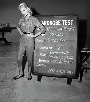 Sandra Dee Models Costume