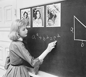Sandra Dee Working on a Math Problem