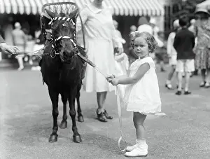Pony Prints: Sandra Payson and Pony