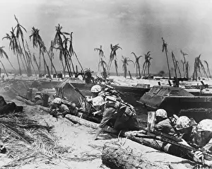 Sands Of Iwo Jima