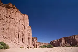 Cloudless Prints: Sandstone canyon in the national park, Parque Nacional Talampaya, Argentina, South America