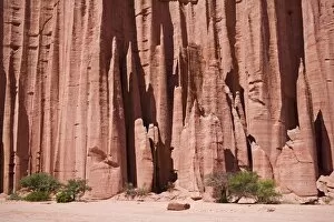 Rock Face Gallery: Sandstone canyon in the national park Parque Nacional, Talampaya, Argentina, South America