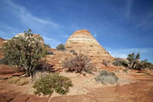 Images Dated 7th April 2011: Sandstone formations, Coyote Buttes North, Vermilion Cliffs Wilderness, Page, Arizona, USA, America