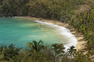 Tobago Prints: Sandy beach, Parlatuvier Bay, Tobago, Trinidad and Tobago