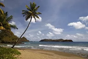Images Dated 6th September 2014: Sandy beach with surf, Little Tobago, Trinidad and Tobago