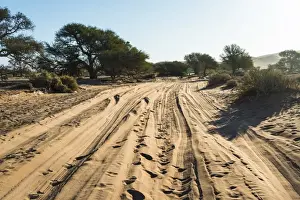 Tire Prints: Sandy slopes, Sossusvlei, Namib-Skeleton Coast National Park, Namibia