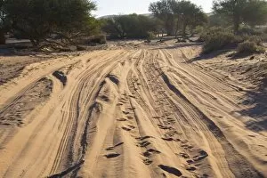Images Dated 2nd September 2012: Sandy track, Sossusvlei, Namib Naukluft Park, Namibia