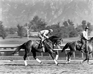 Michaelochs Archives Prints: Santa Anita