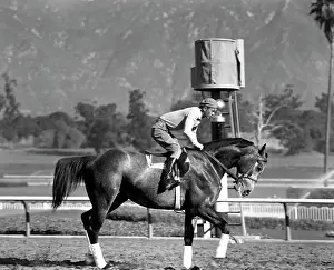 Michaelochs Archives Prints: Santa Anita