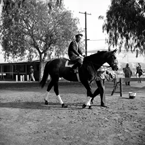 Michaelochs Archives Prints: Santa Anita