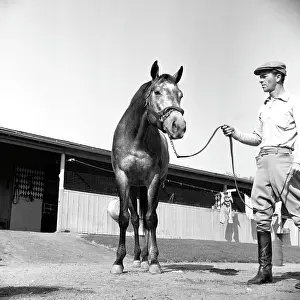 Michaelochs Archives Prints: Santa Anita