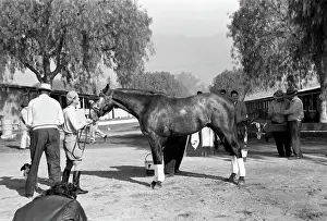 Michaelochs Archives Prints: Santa Anita