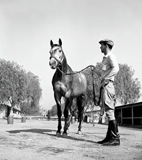 Michaelochs Archives Prints: Santa Anita