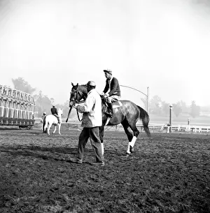 Michaelochs Archives Prints: Santa Anita