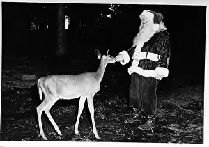 Indiana Prints: Santa Claus Feeds a Deer