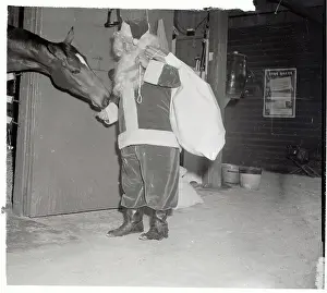 Santa Feeding a Horse