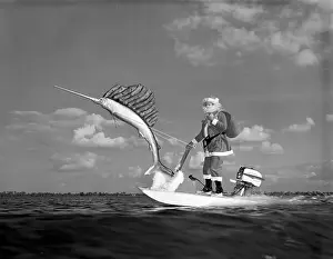 Winter Haven Prints: Santa and Sammy the Sharpnosed Sailfish