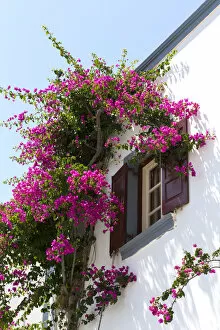 Images Dated 25th June 2015: Santorini house