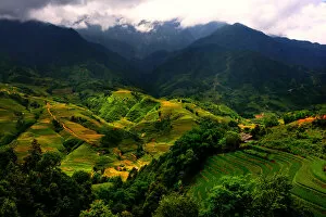 Images Dated 9th September 2011: Sapa rice terrace