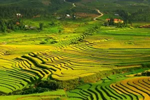 Sapa rice terrace, Vietnam