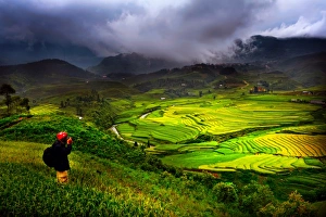 Images Dated 11th September 2011: Sapa rice terrace, Vietnam