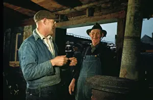 Sardine Fishing in Maine