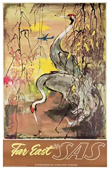 SAS Far Eastern Cranes Poster