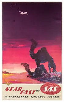SAS Near Eastern Camel Poster