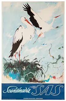 SAS Stork Poster