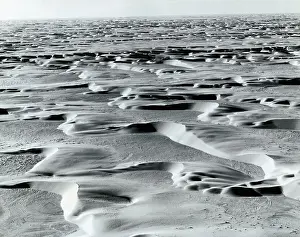 Saudi Arabia Prints: Saudi Arabian Desert