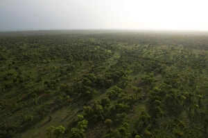 Images Dated 8th May 2017: savanna woodland, doka, dambos, vista, afternoon light, colour image, northern cameroon