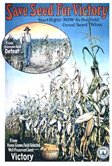 Victory Prints: Save Seed For Victory