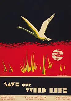 Protect Prints: Save our wild life