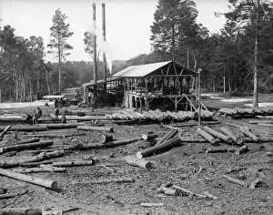 Processing Prints: Saw Mill