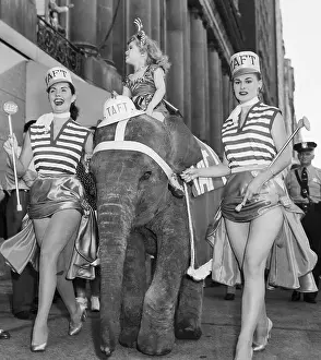 Two Scantily-Clad Women Lead Elephant